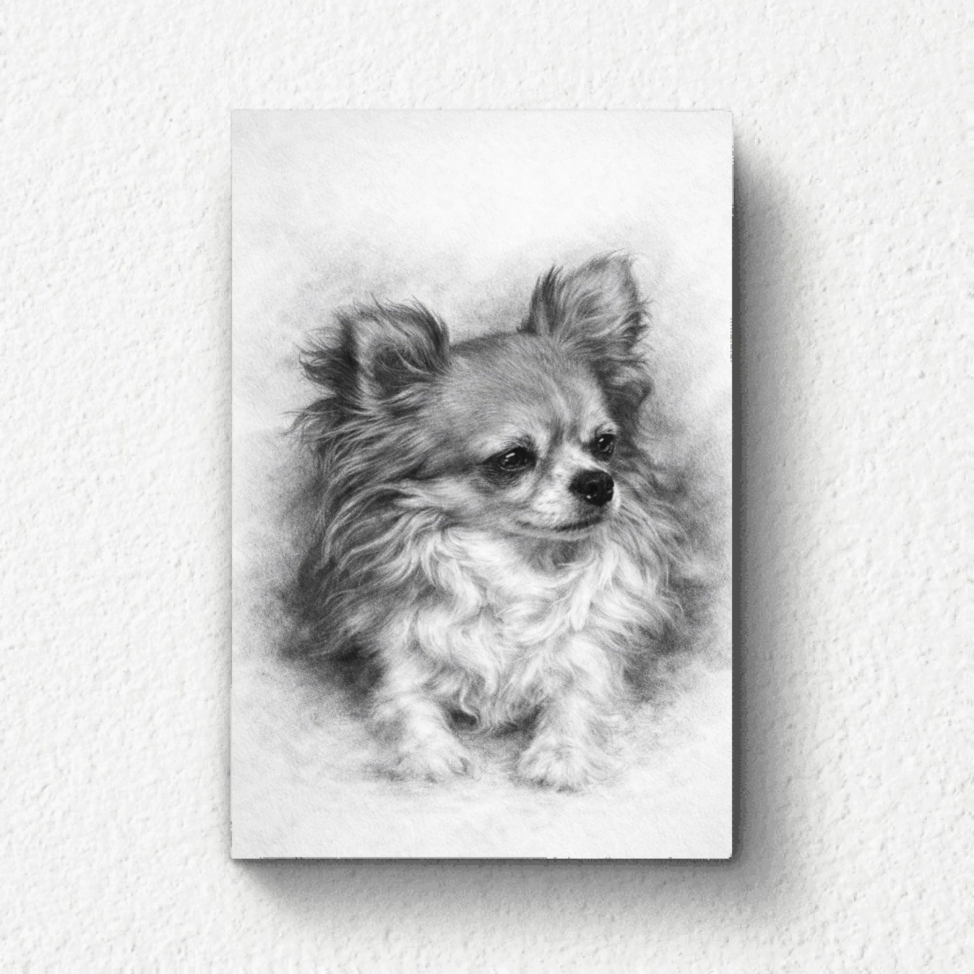 615888a63292e_large.webp