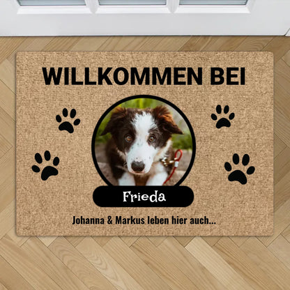 65f17df66289a_large